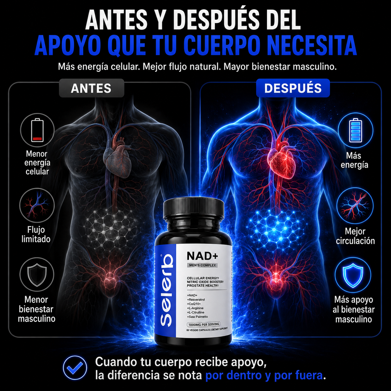 Selerb™ [Boostiva] NAD+Men's Performance Formula | Más Energía, Mayor Vitalidad y Mejor Rendimiento Diario | Sin Azúcar + Fórmula Liposomal