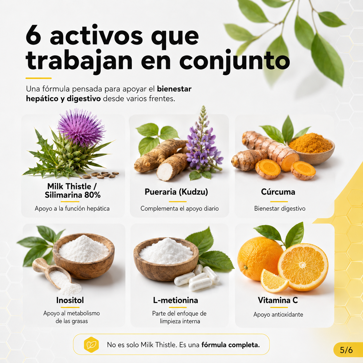OxyEnergy HEPA-4™: Fórmula Hepática 6 Activos Importado. Limpieza Intestinal y Hepática para desintoxicar el cuerpo