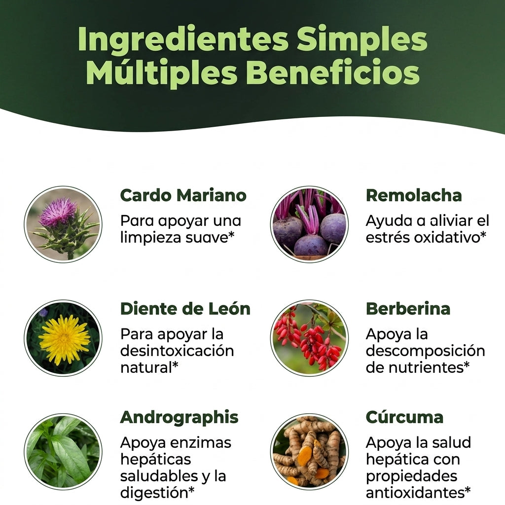 Detox Limpieza y Protección Hepática® - Liver 70 Cápsulas Importado Garantizado